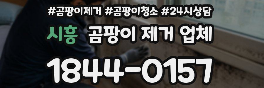 시흥 곰팡이 제거 업체