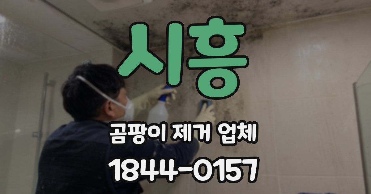 시흥 곰팡이 제거 업체