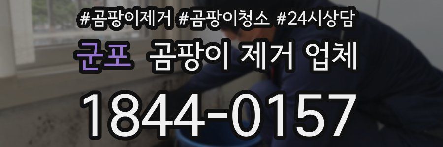 군포 곰팡이 제거 업체
