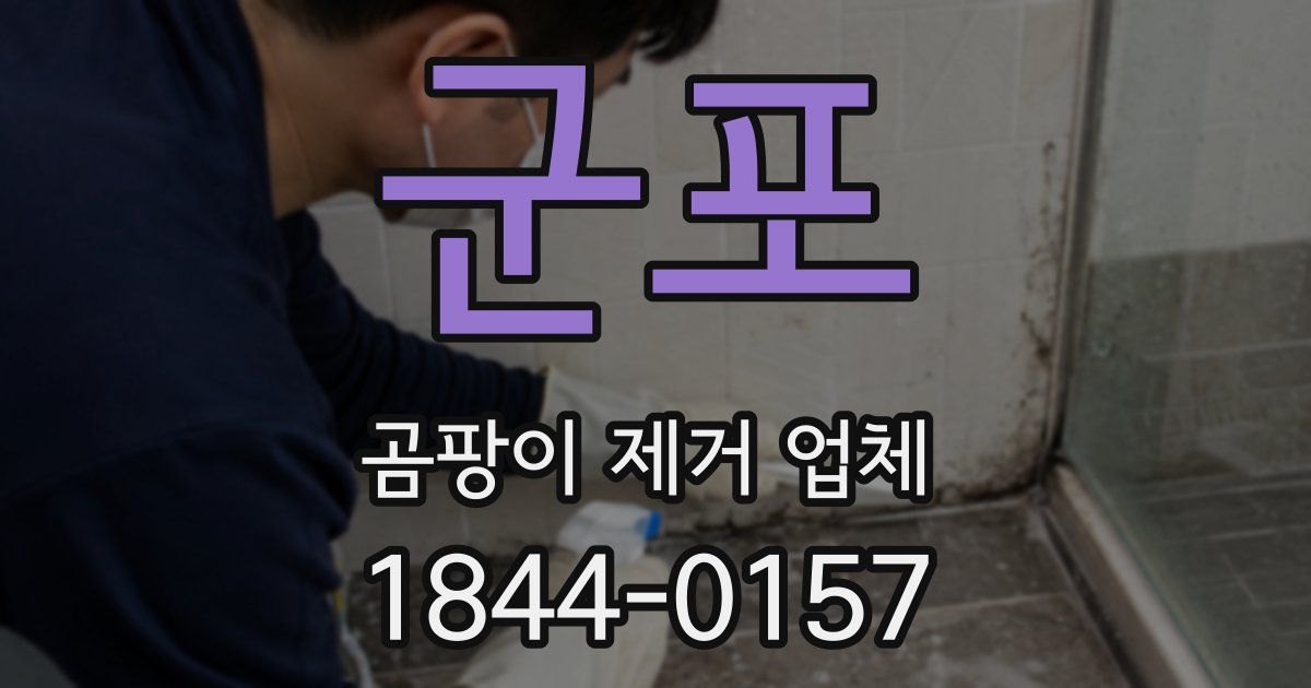 군포 곰팡이 제거 업체