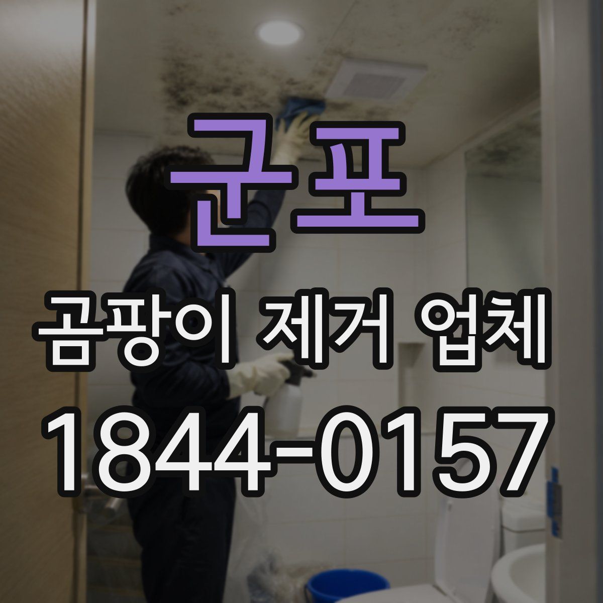 군포 곰팡이 제거 업체