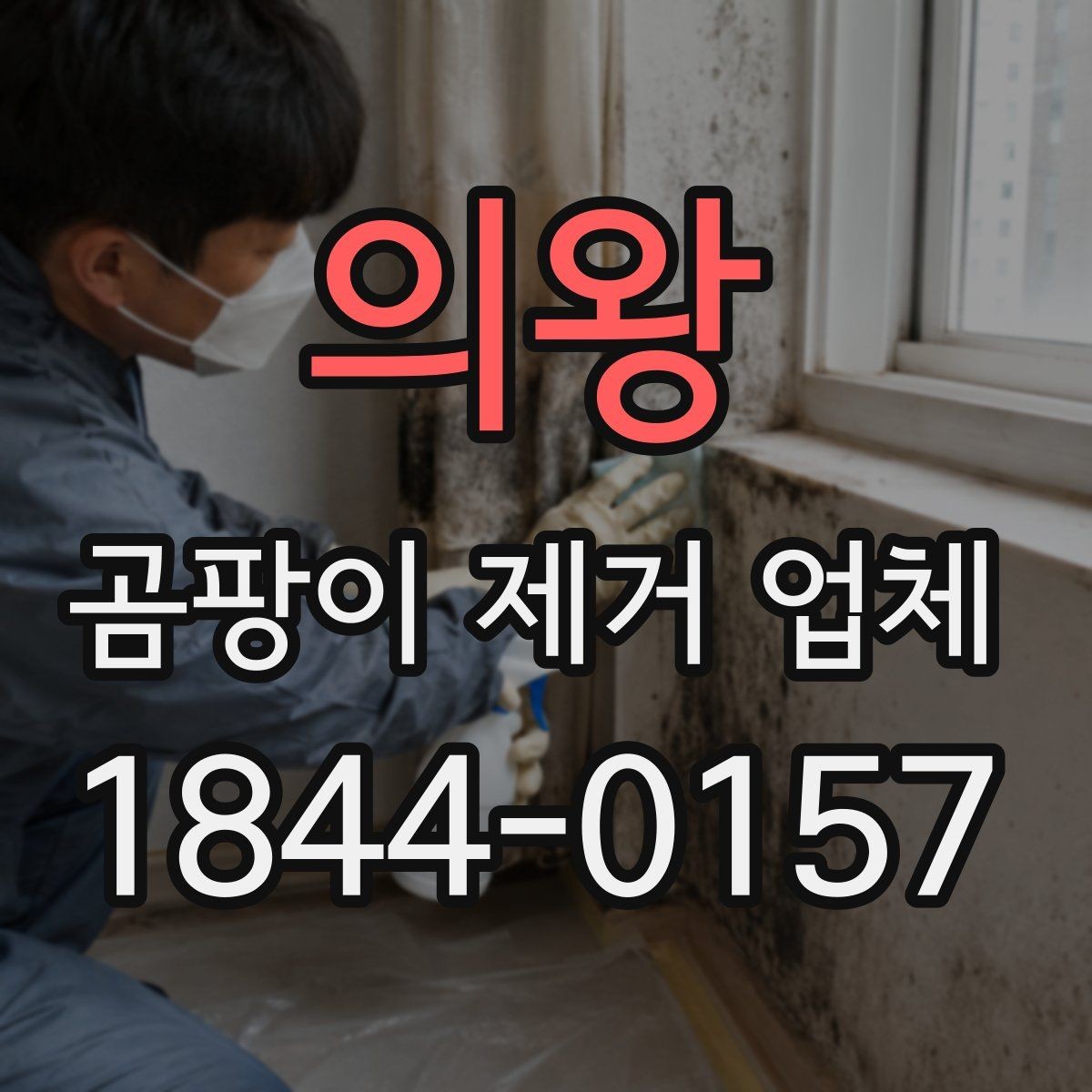 의왕 곰팡이 제거 업체 벽체 내부 결로 흔적을 확인하는 진단 과정
