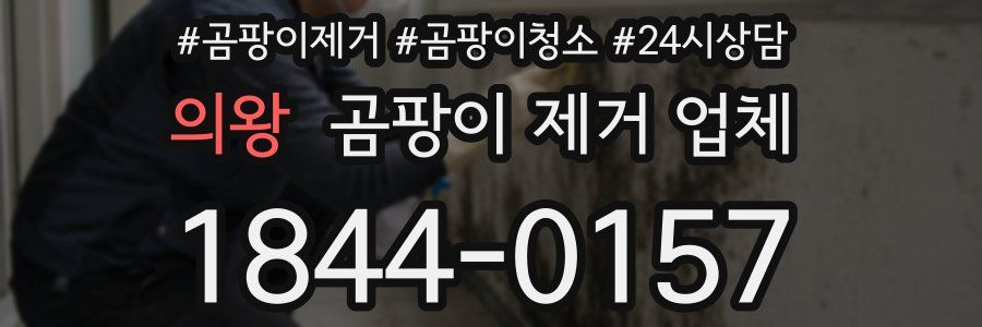 의왕 곰팡이 제거 업체