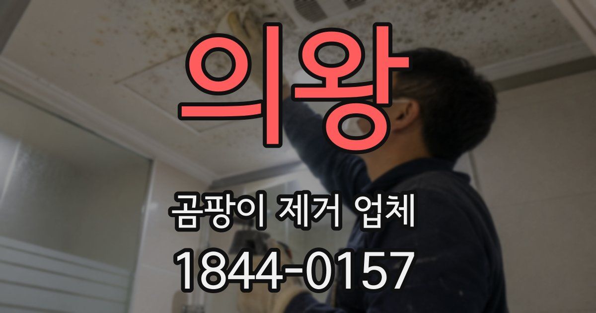 의왕 곰팡이 제거 업체