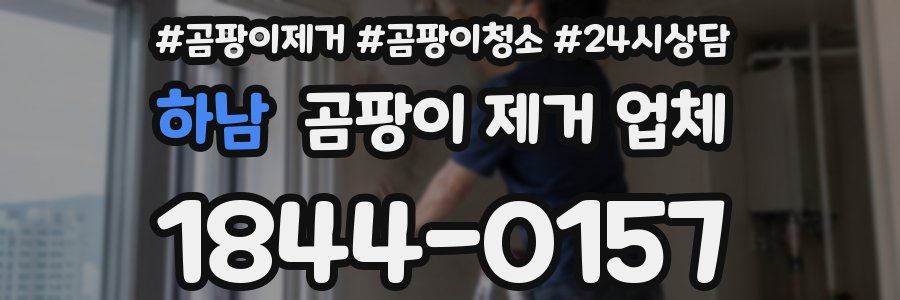 하남 곰팡이 제거 업체