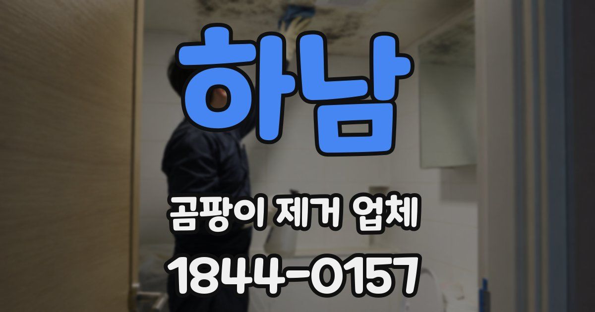하남 곰팡이 제거 업체