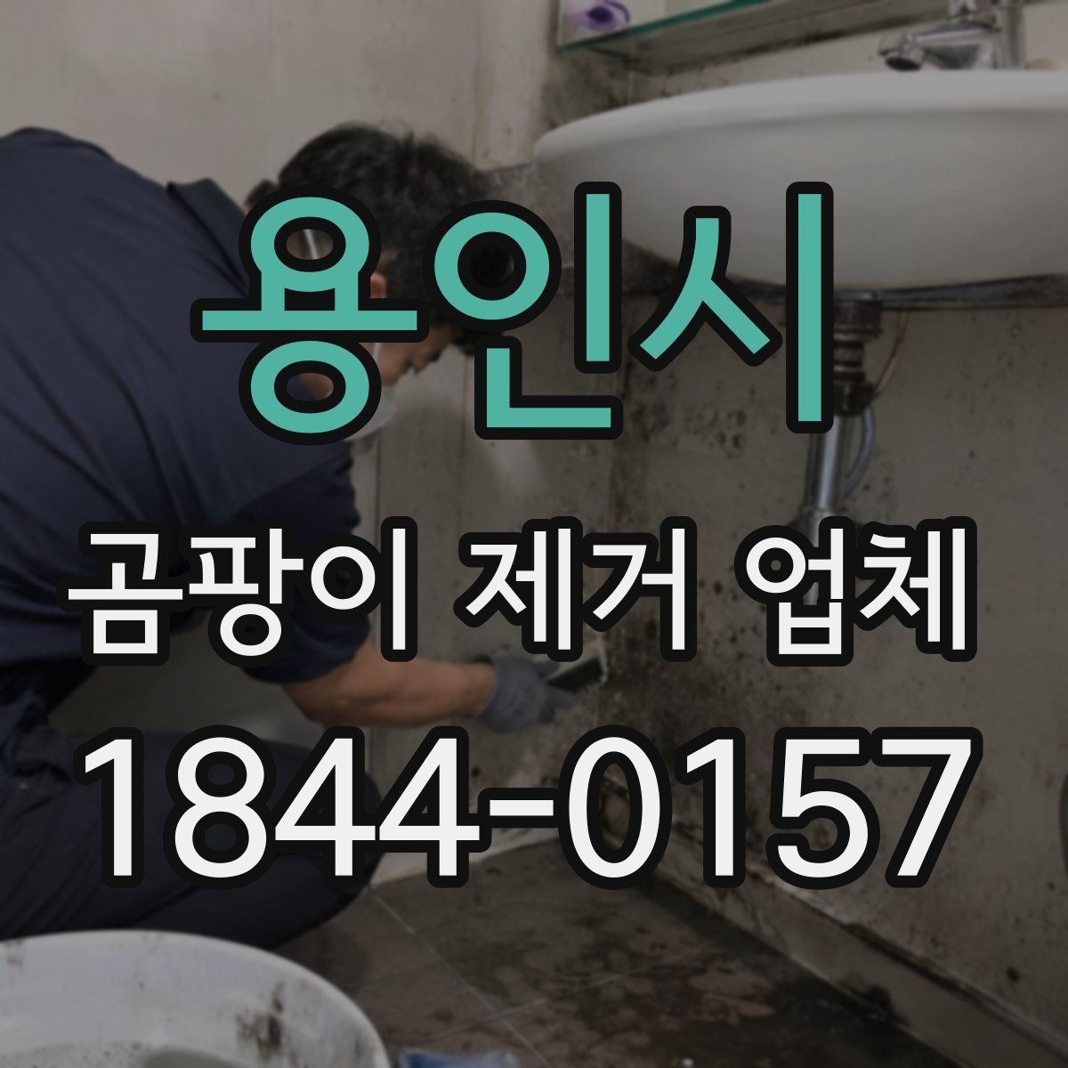 용인시 곰팡이 제거 업체 오염 범위가 넓을 때 달라지는 점검 순서