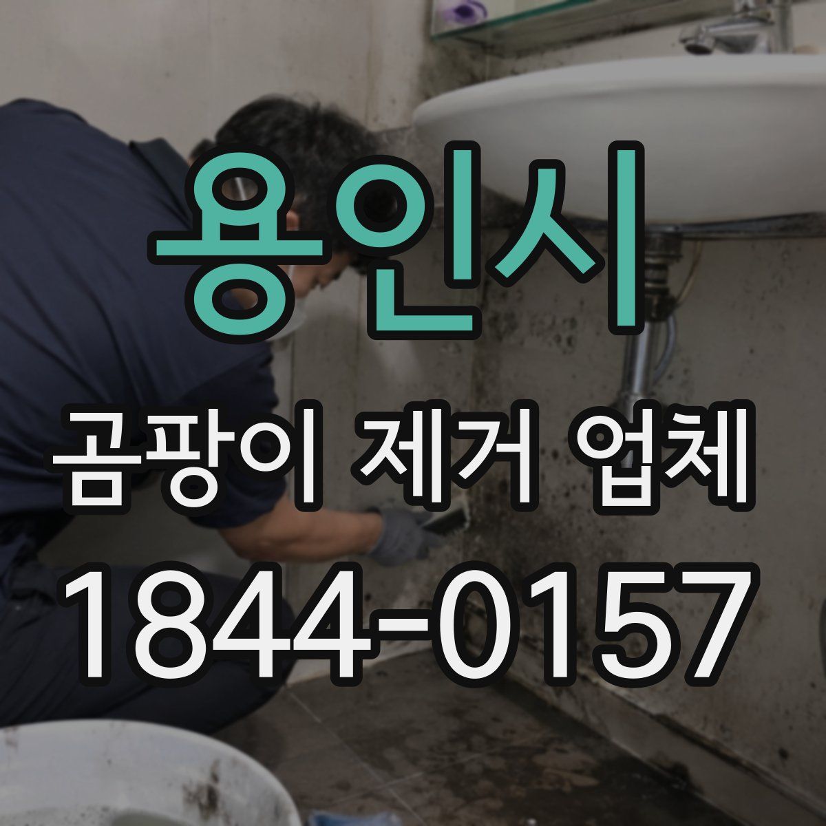 용인시 곰팡이 제거 업체