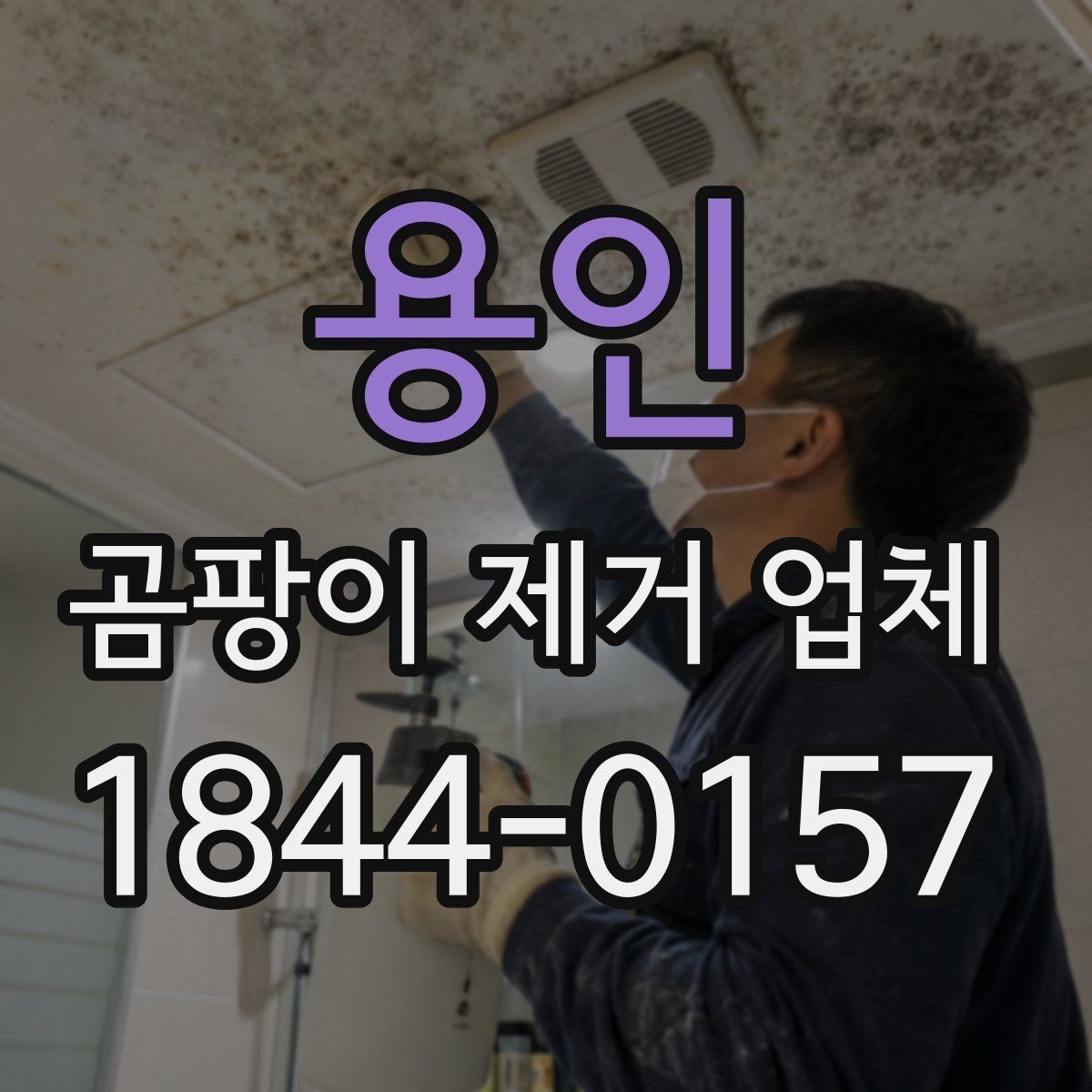 용인 곰팡이 제거 업체 습도 측정과 환경 점검으로 원인부터 살펴보는 기준