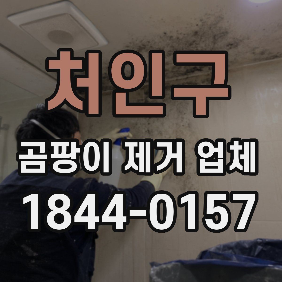 처인구 곰팡이 제거 업체 신축 오염과 기존 곰팡이를 구분하는 기준