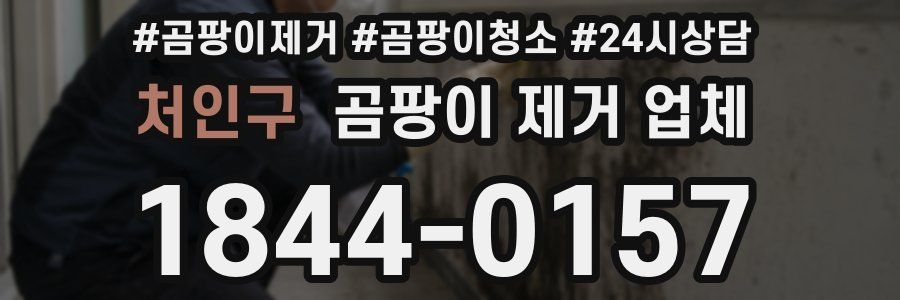처인구 곰팡이 제거 업체