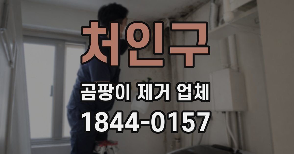 처인구 곰팡이 제거 업체