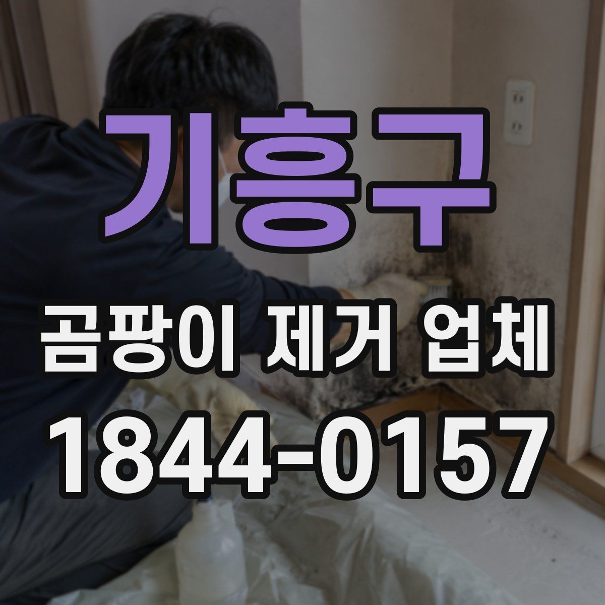 기흥구 곰팡이 제거 업체 표면 청소와 전문 시공의 차이