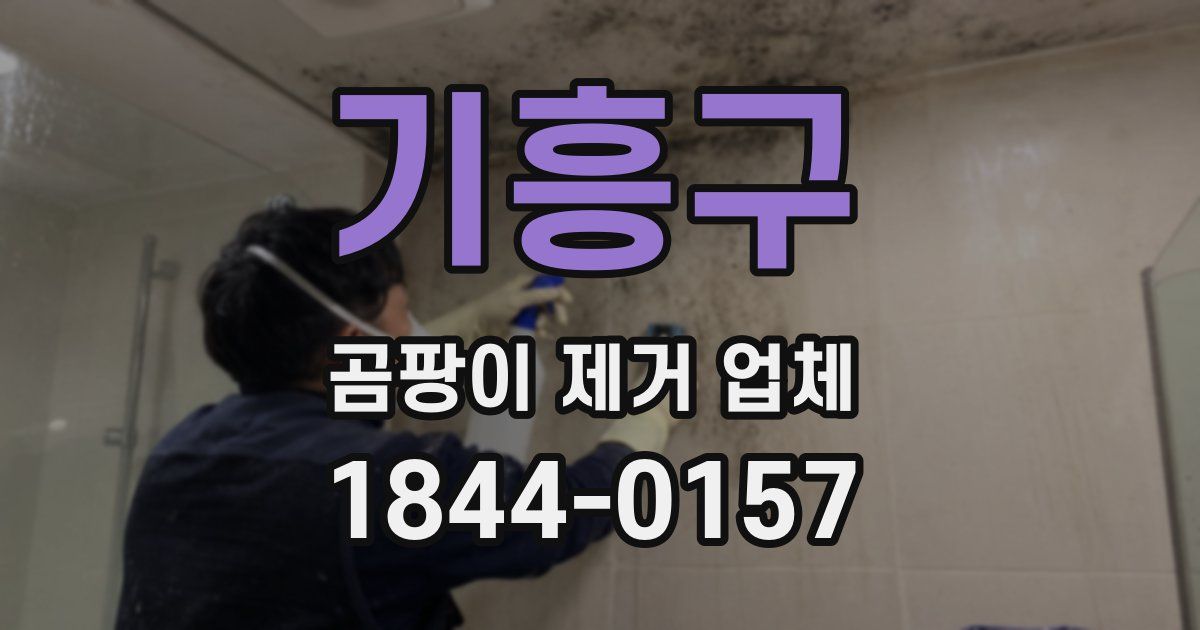 기흥구 곰팡이 제거 업체