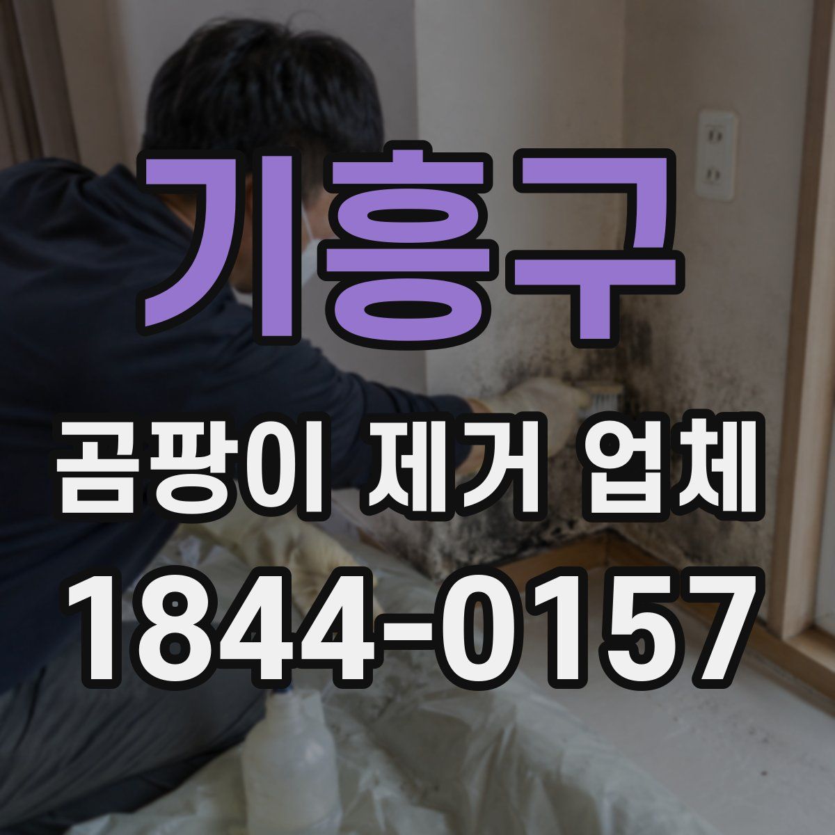 기흥구 곰팡이 제거 업체