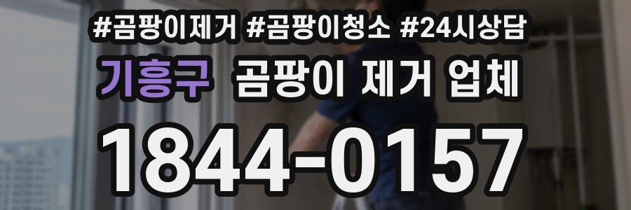 기흥구 곰팡이 제거 업체
