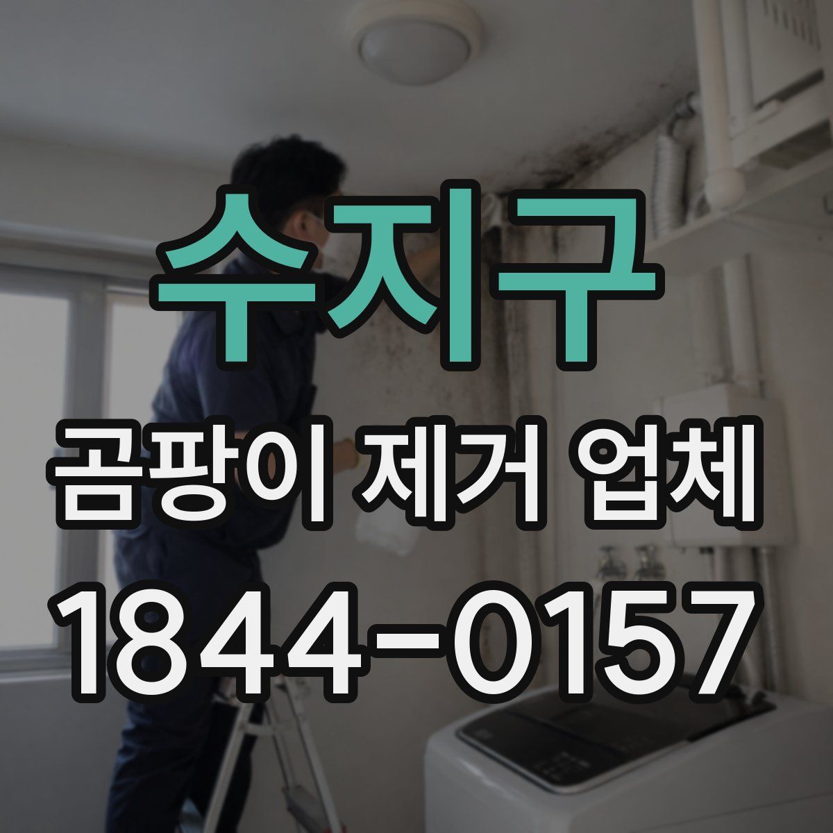 수지구 곰팡이 제거 업체