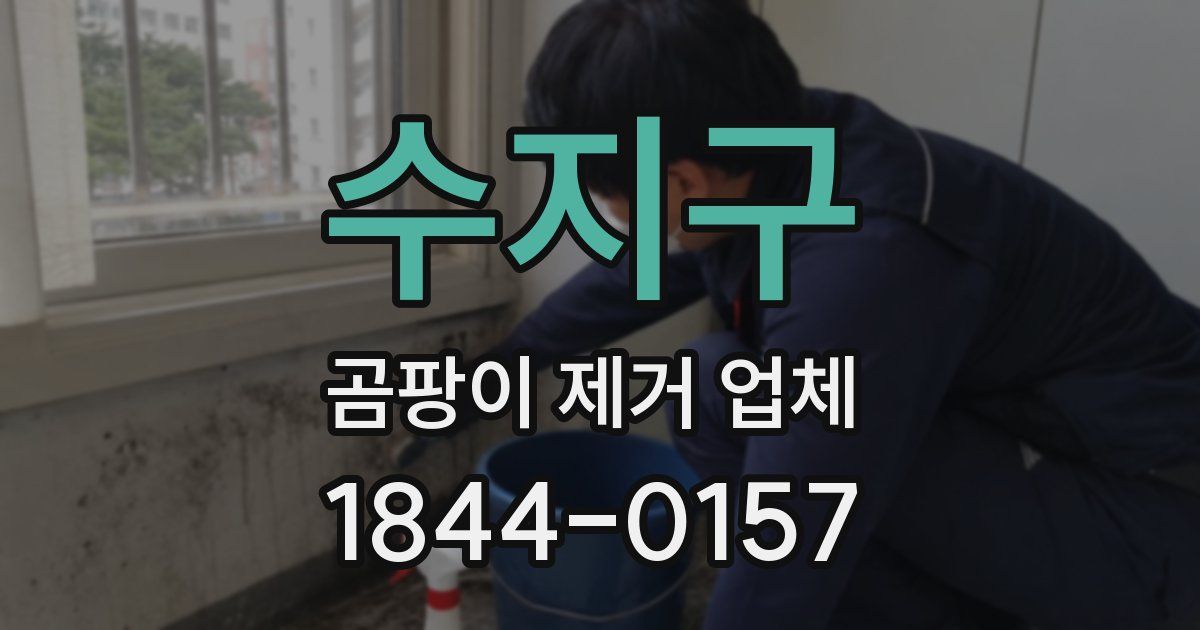 수지구 곰팡이 제거 업체