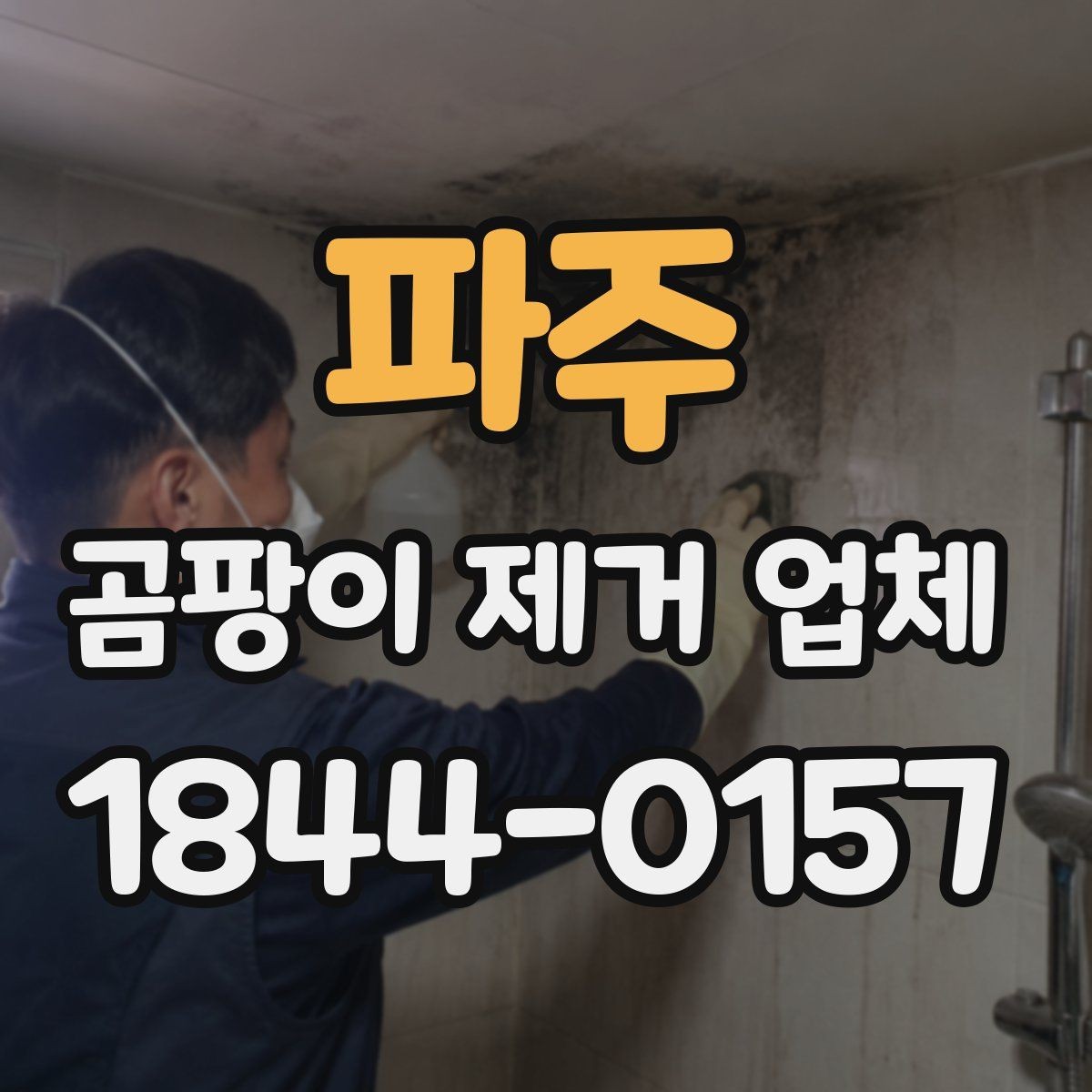 파주 곰팡이 제거 업체 창호 주변 오염이 남는 원인과 대응