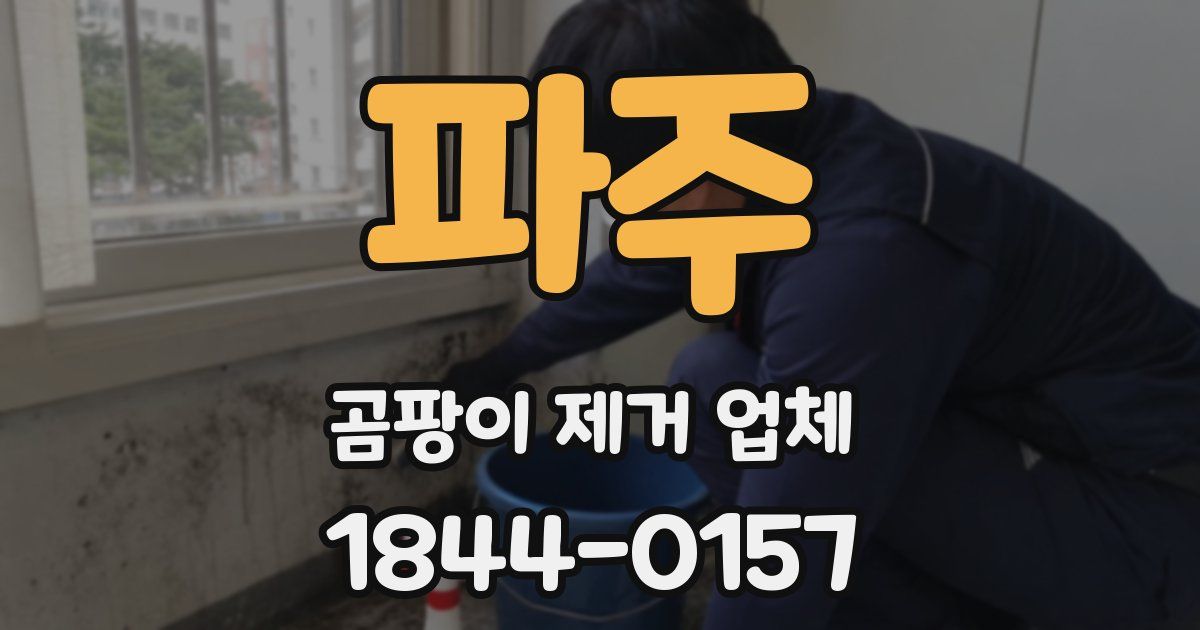 파주 곰팡이 제거 업체