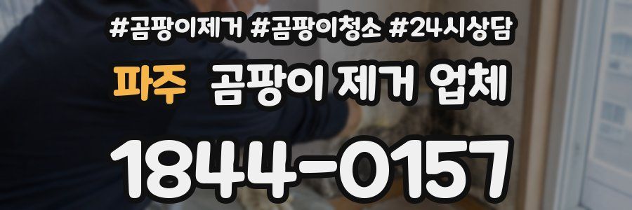 파주 곰팡이 제거 업체