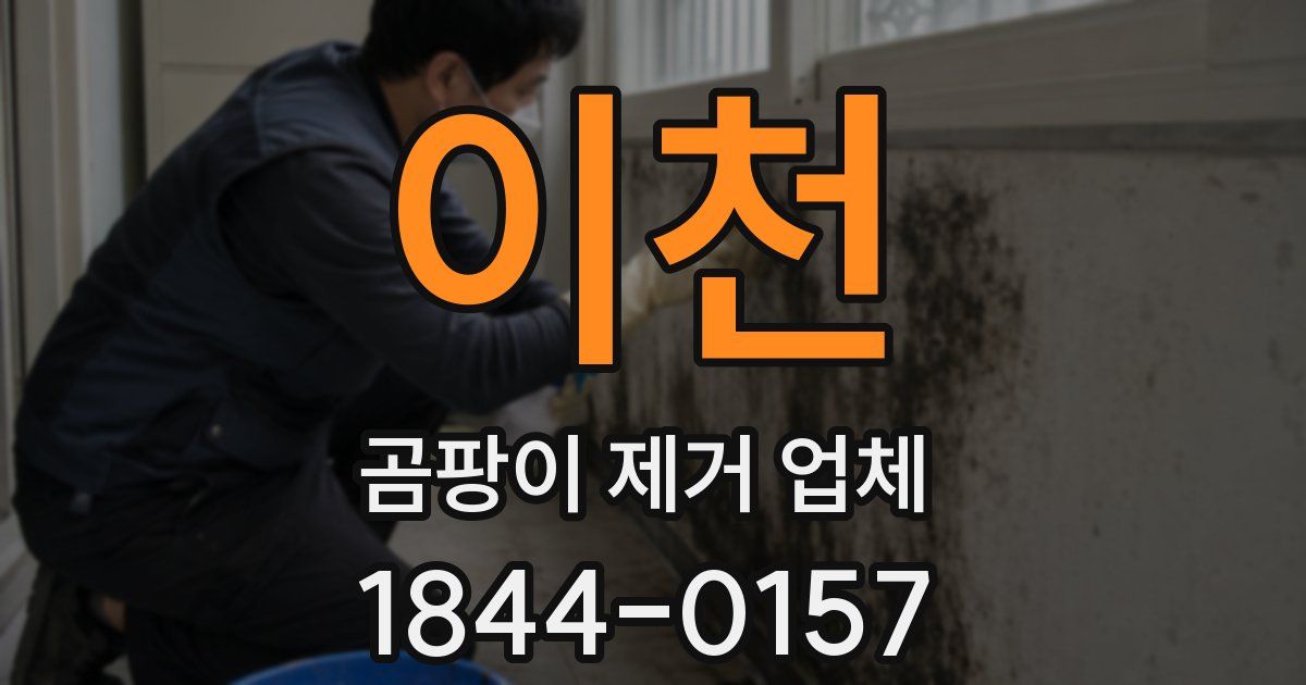 이천 곰팡이 제거 업체