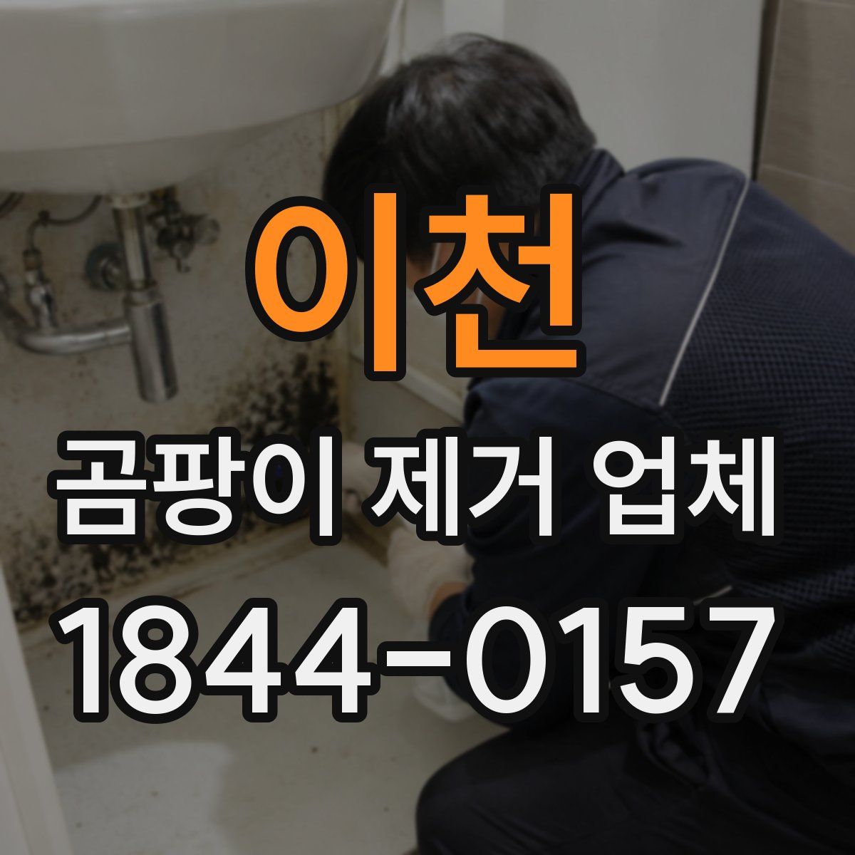 이천 곰팡이 제거 업체