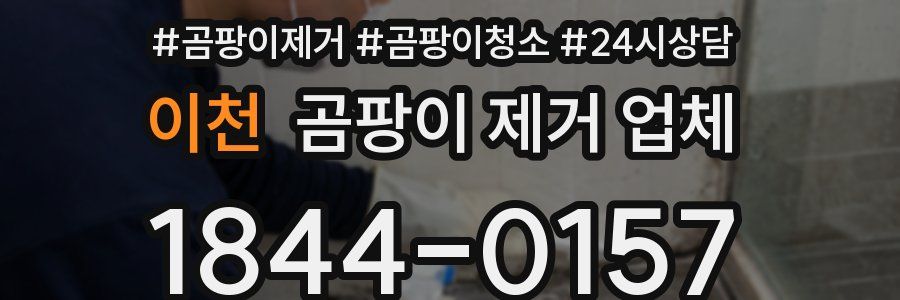 이천 곰팡이 제거 업체