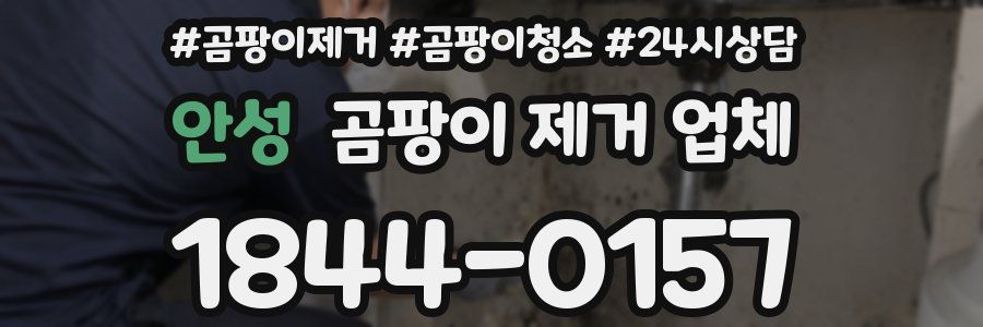 안성 곰팡이 제거 업체