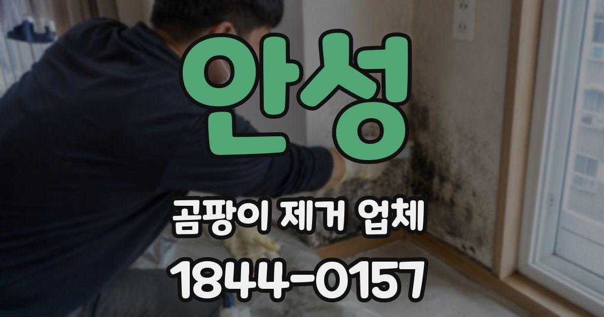 안성 곰팡이 제거 업체