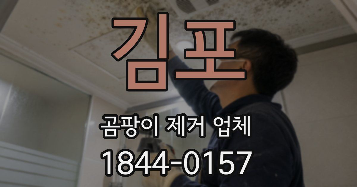 김포 곰팡이 제거 업체