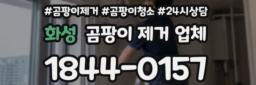 화성 곰팡이 제거 업체