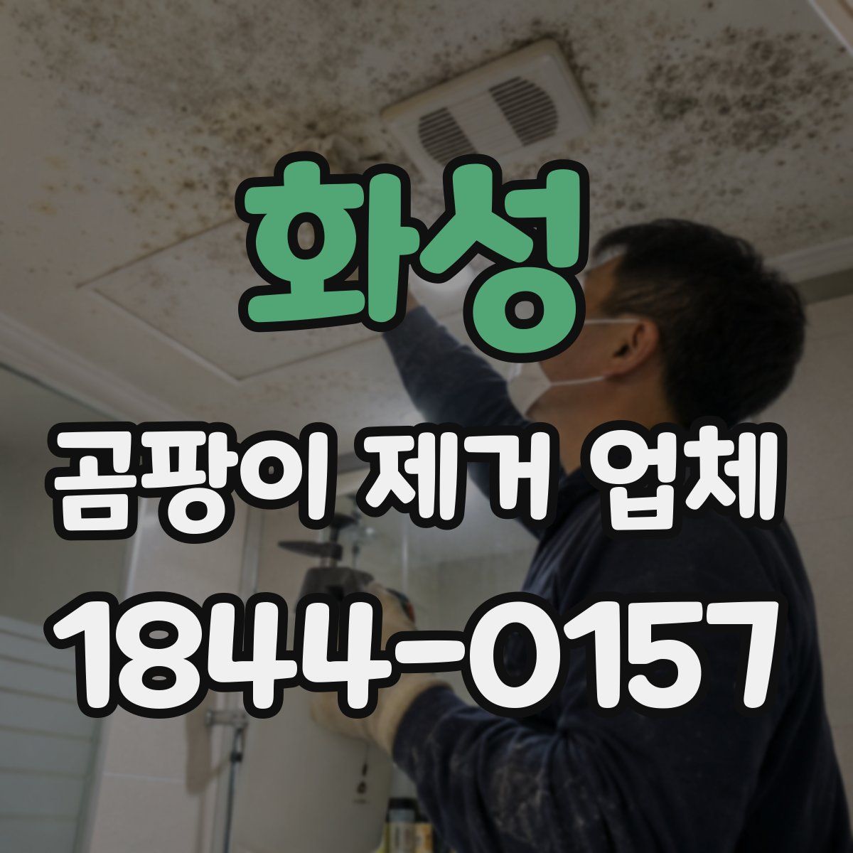화성 곰팡이 제거 업체