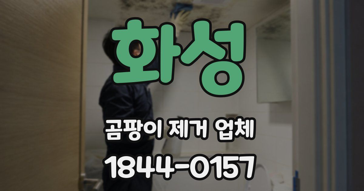 화성 곰팡이 제거 업체