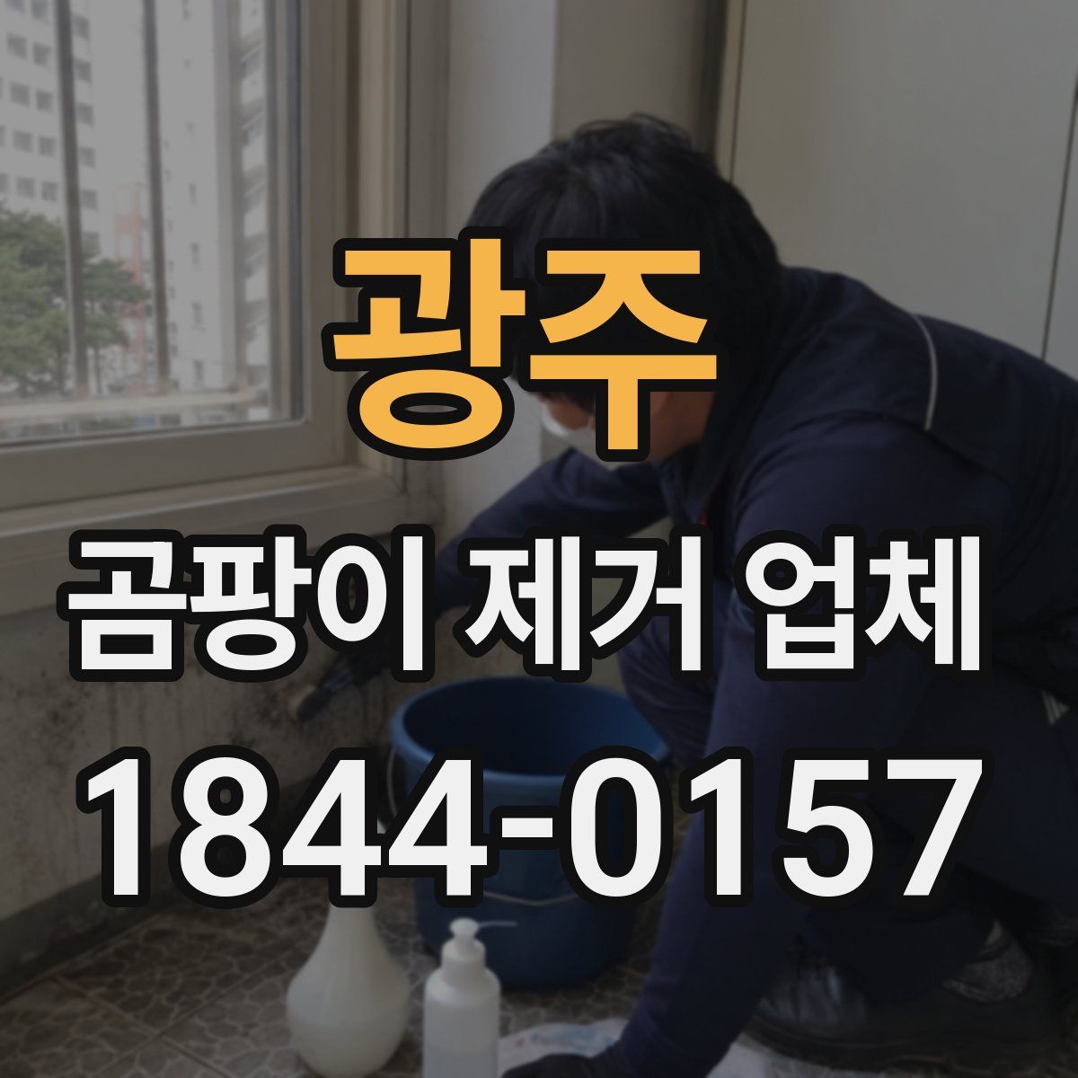 광주 곰팡이 제거 업체