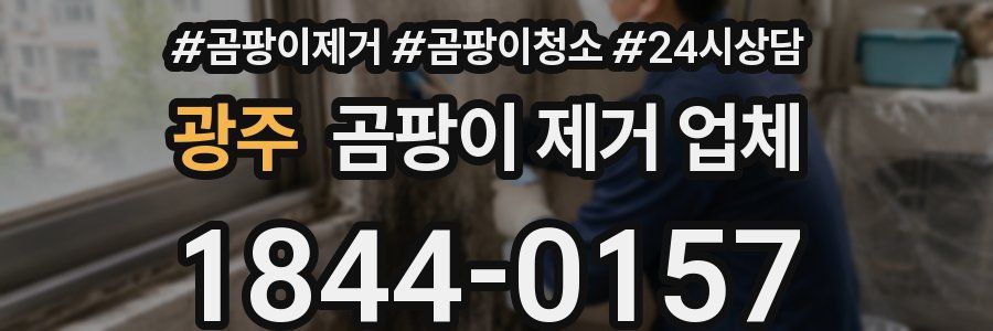 광주 곰팡이 제거 업체