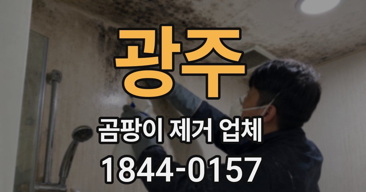 광주 곰팡이 제거 업체
