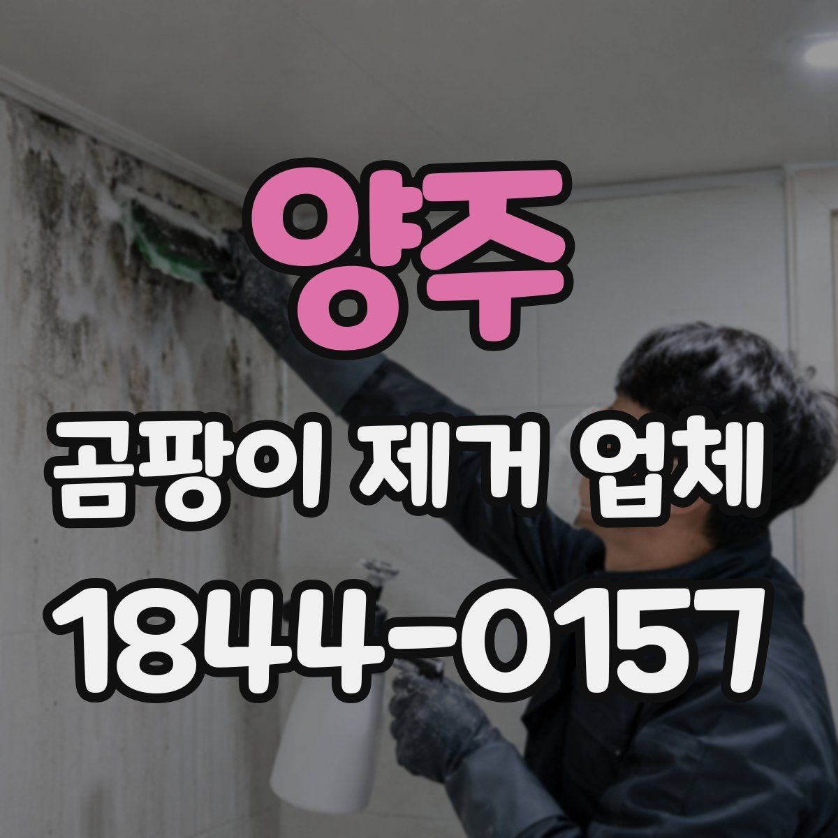 양주 곰팡이 제거 업체 세대 간 번짐 가능성을 확인하는 체크포인트