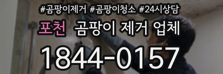 포천 곰팡이 제거 업체