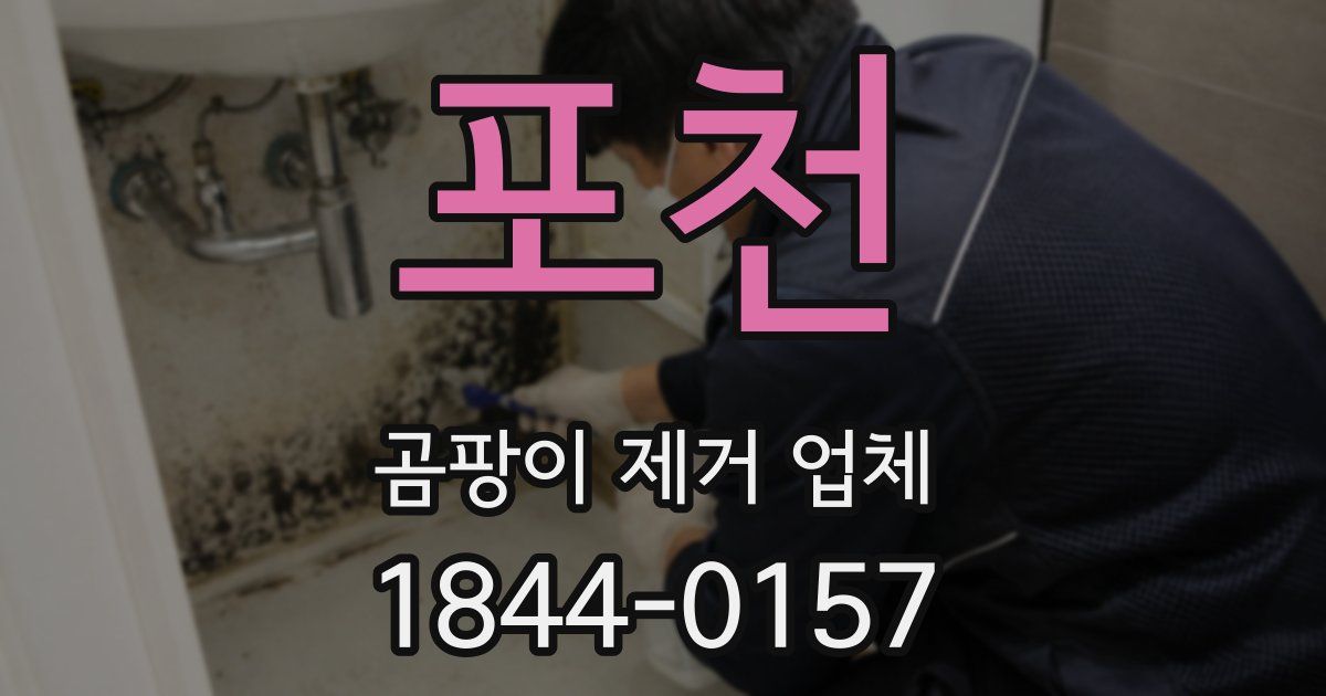 포천 곰팡이 제거 업체