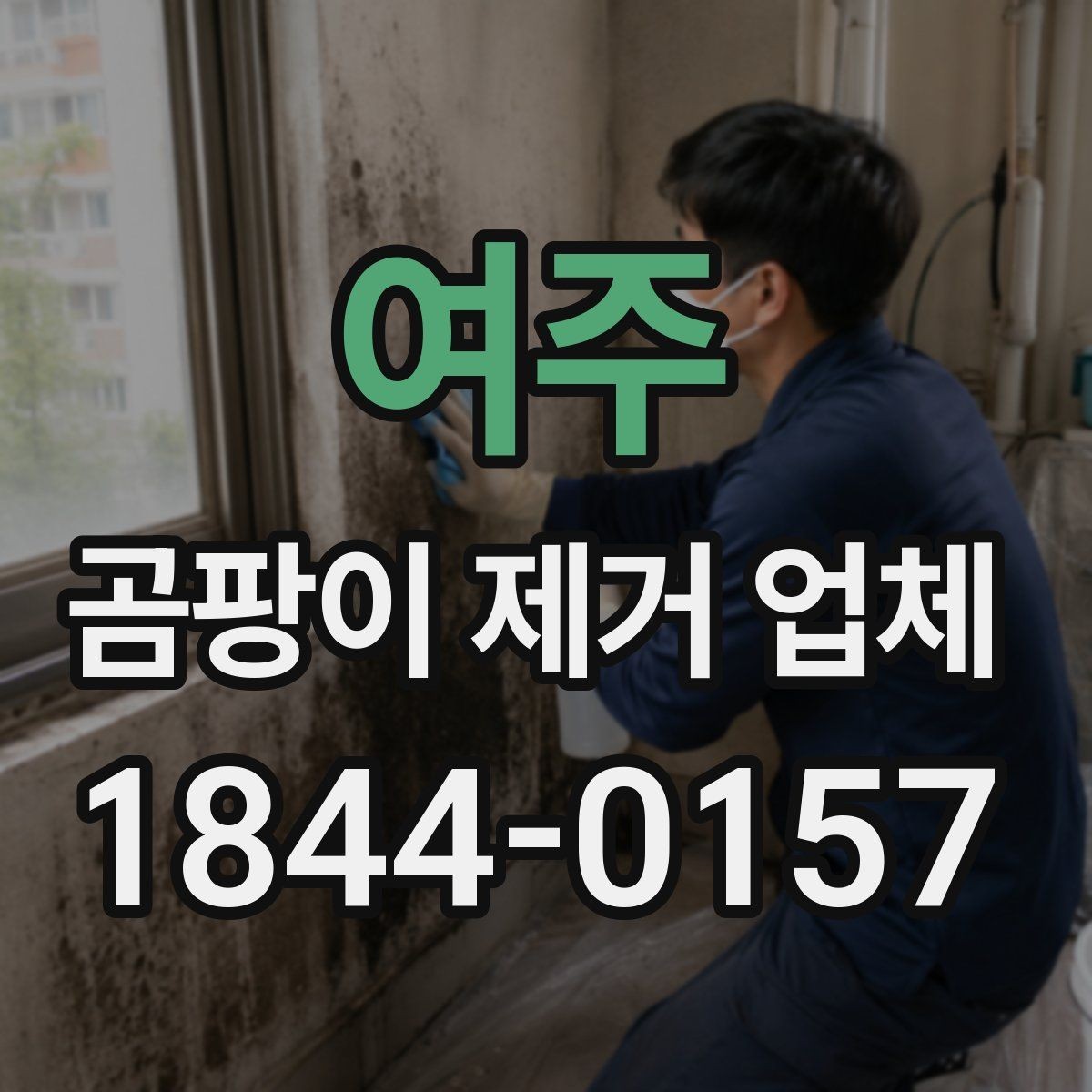 여주 곰팡이 제거 업체 원인 미해결로 반복되는 곰팡이 문제를 줄이는 방법