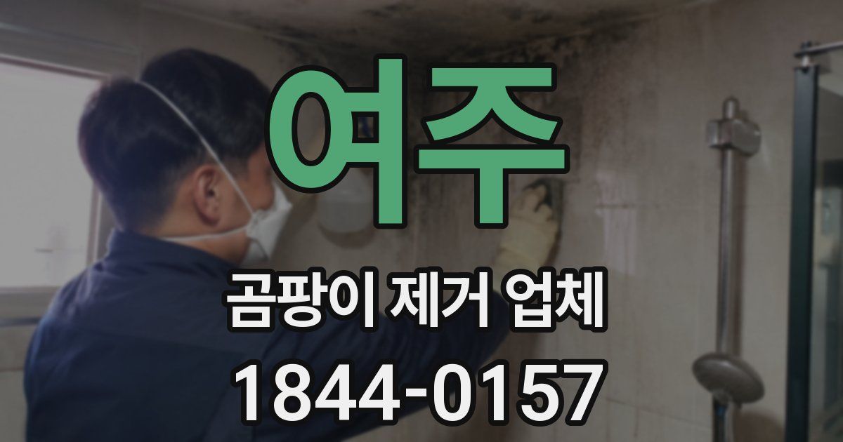 여주 곰팡이 제거 업체