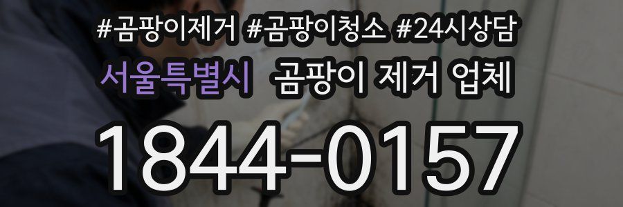 서울특별시 곰팡이 제거 업체