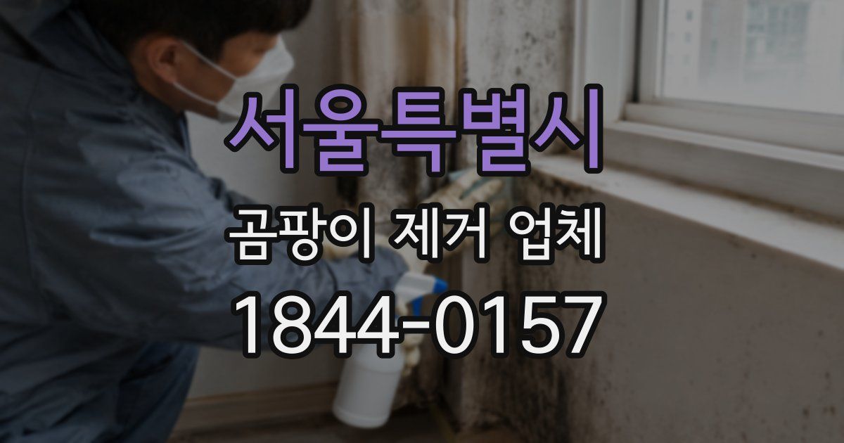 서울특별시 곰팡이 제거 업체