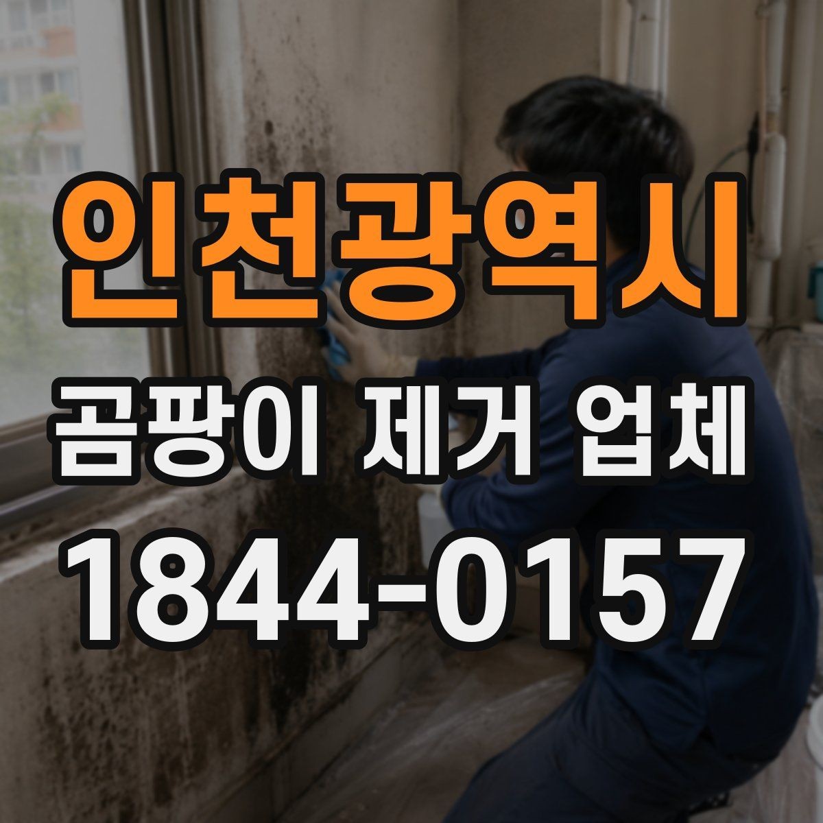 인천광역시 곰팡이 제거 업체 마감재 손상 정도에 따른 처리 기준