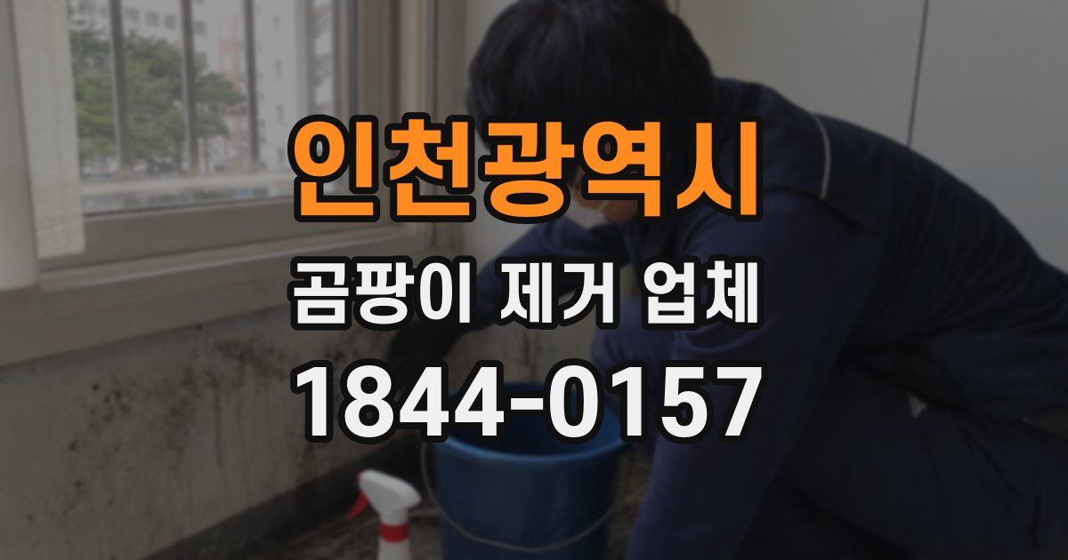 인천광역시 곰팡이 제거 업체
