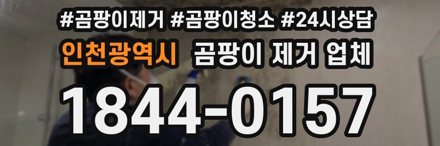 인천광역시 곰팡이 제거 업체