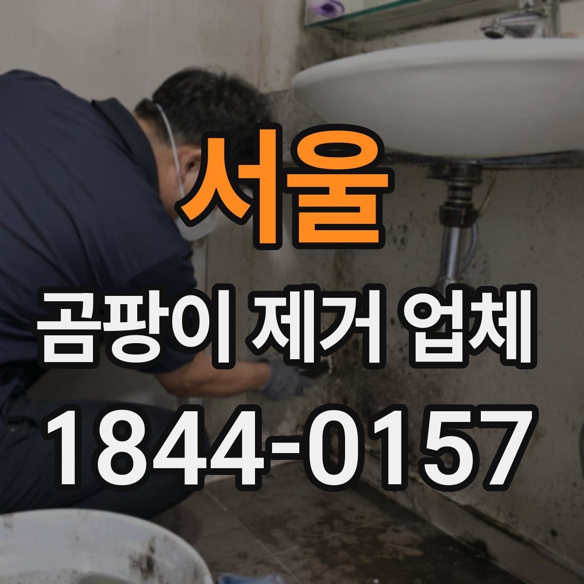 서울 곰팡이 제거 업체 반복 발생 원인을 먼저 찾는 이유