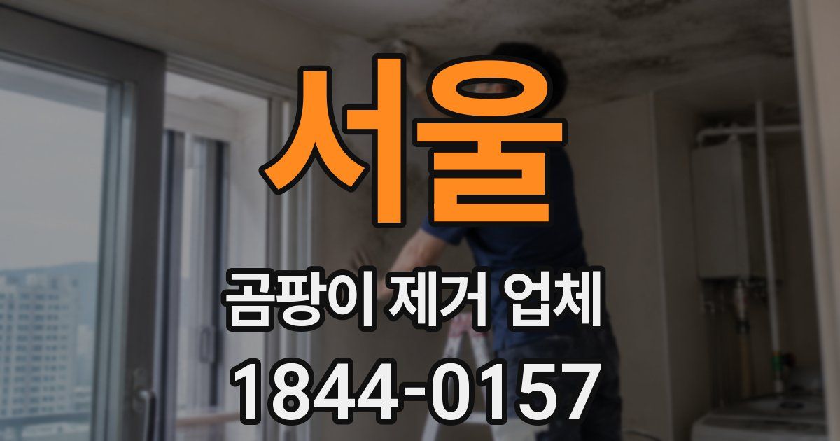 서울 곰팡이 제거 업체