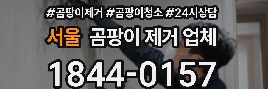 서울 곰팡이 제거 업체